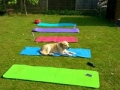 Lewis Outdoor Training